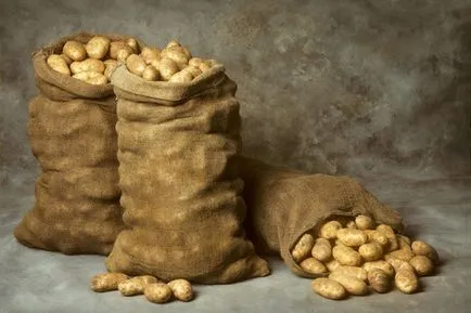 Помислете как да съхраняват картофи в гаража, sdelai Garazh