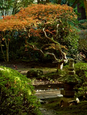Градина в японски стил, давайки свои ръце