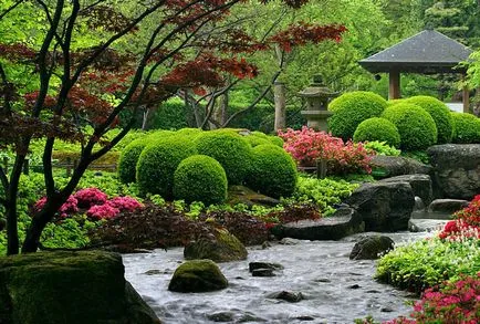 Градина в японски стил със собствените си ръце (снимка)