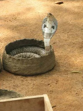 Sigiriya (Srí Lanka) - a Föld az özönvíz előtt eltűnt kontinensek és civilizációk