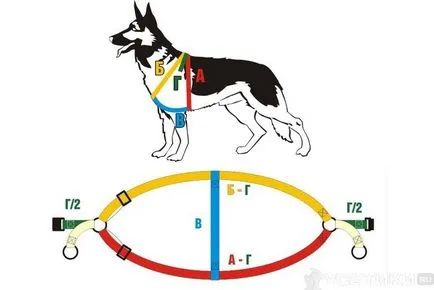 Впрегнете за кучета със собствените си ръце, за малки, големи, как да се облича