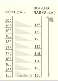 nordic walking, ABC Sănătate