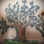 Tatuaj pe cicatrice de la imagini apendicita - exemple de tatuaje finite