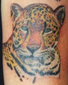 Tatuaj panteră, jaguar, leopard, pumă