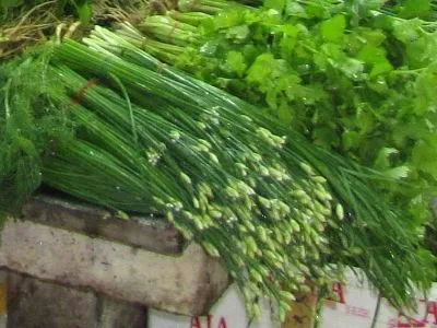 Thai gyógynövények, fűszerek és fűszerek thai konyha