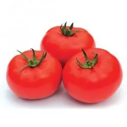 Tomate birou f1, cumpăra semințe de tomate f1 birou Syngenta Olanda, preț, recenzii, randamentele