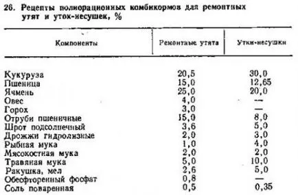 rațe tehnologie de producție de carne - toate despre creșterea animalelor