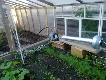 Greenhouse melegítjük egész évben a kezüket