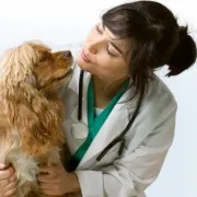 Как да се измери налягането в кучето