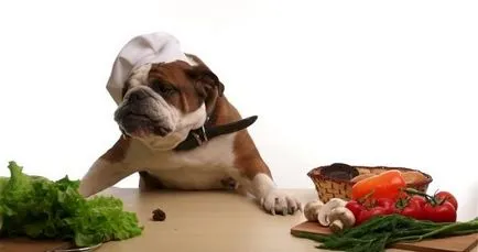 Какво зеленчуци може да бъде куче, и това, което по-добре не