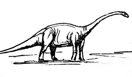 Cum să atragă un dinozaur Diplodocus