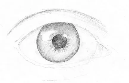 Hogyan kell felhívni az emberi szem ceruza szakaszokban - fejlesztés egy logó és arculat létrehozása