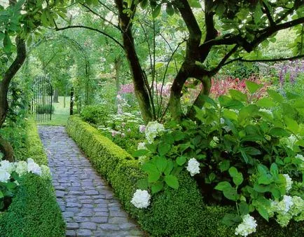 Cum frumos decora gard grădină cu mâinile lor de design fotografie