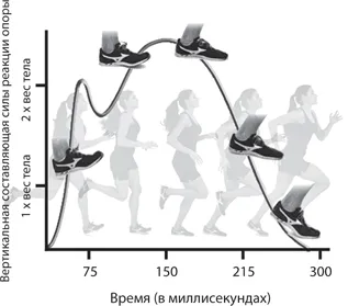 Урок Шест ахилесово сухожилие