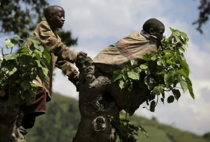 viața Oribil de oameni din Congo (foto) - u-știri