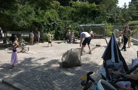 Zoo Viena, Viena