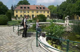 Zoo Vienna, Bécs