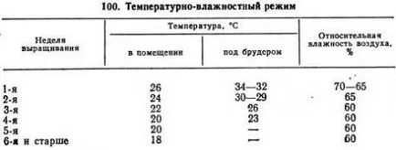 Отглеждане бройлери - agroarhiv селскостопански материали