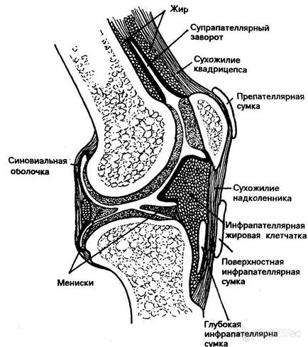 Ефузионен в колянната става кухина ставния излив на