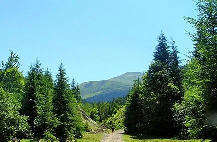 Катерене Hoverla най-популярните маршрути