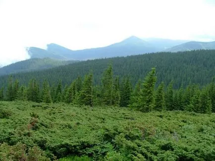 Катерене Hoverla най-популярните маршрути