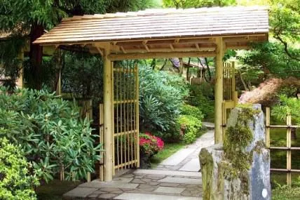 Japán torii kapu fotó