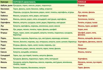 Добри и лоши съседи за сладки пиперки, които поставят по краищата на леглата