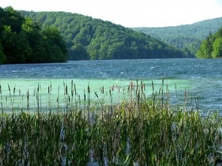 Хърватия Плитвишки езера