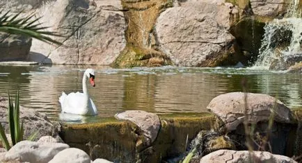 Zoo Friguia - Tunisia - preturi, fotografii, programe de spectacol