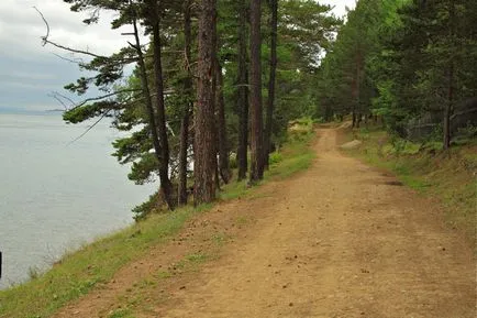 pisici de mare de aur, vacanțe pe Lacul Baikal, ventilator Lacul Baikal