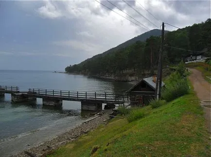 pisici de mare de aur, vacanțe pe Lacul Baikal, ventilator Lacul Baikal