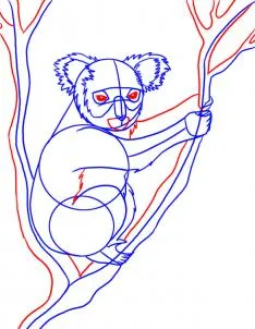 Cum de a desena un koala - remiză animale