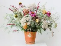 Как да поливам цветята в контейнери и висящи саксии, градински цветя (имения)