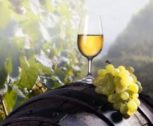 Как да се сложи виното от грозде