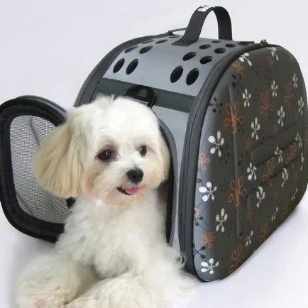 Cum de a alege geanta potrivita pentru efectuarea de câine