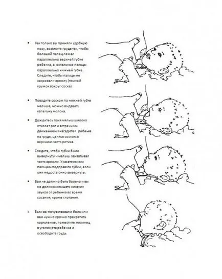 Hogyan kell szoptatni