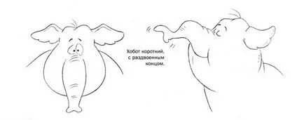 Как да нарисувате различни животни, flatonika