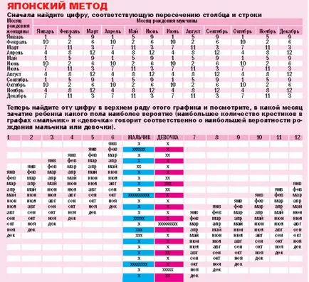 Как да планират пола на детето - как да се планира на бебето секс - бременност и раждане