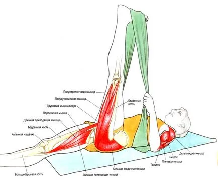 Какво ви привлече в действителност разтягане на мускулите в снимки