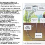 Hogyan pácolást dunayku - hogyan savanyú hering otthon, a baba alszik