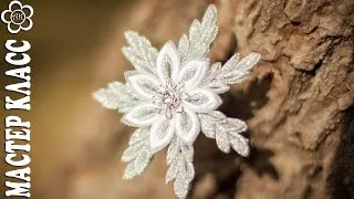 Kanzasi hópehely képek mesterkurzust