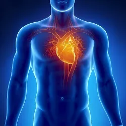 Cardiologie - Centrul Medical Sănătate