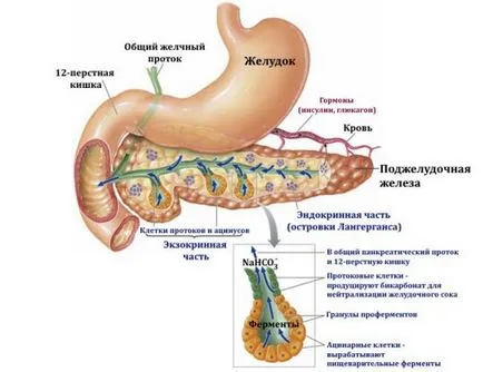 Atunci când o operațiune este atribuită în pancreas și pancreatită, care are efecte