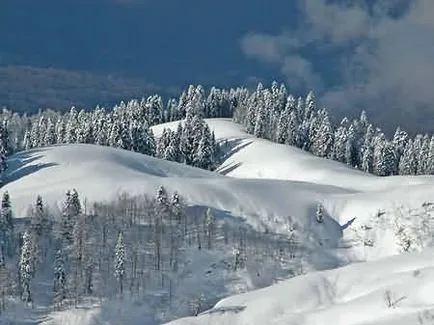 Krasnaya Polyana, Soci, statiuni de schi din România, heli-schi, Jocurile Olimpice de la Soci, cazare, Rose