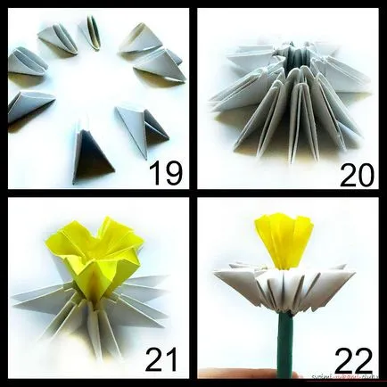 Szép virág a nárcisz, a szakterületen moduláris origami egyedül is, hogy a program