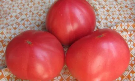 Soiuri cu fructe mari de tomate - cum să crească roșii film salată