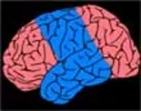 tratamentul epilepsiei, în Germania