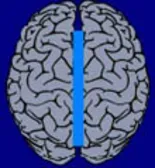 tratamentul epilepsiei, în Germania