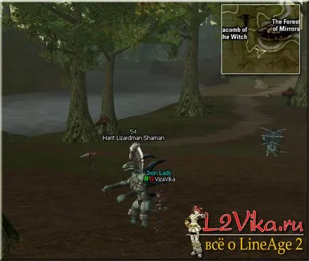 Încercarea de a capta clanul de al patrulea nivel al probei de alianță clan - Lineage 2