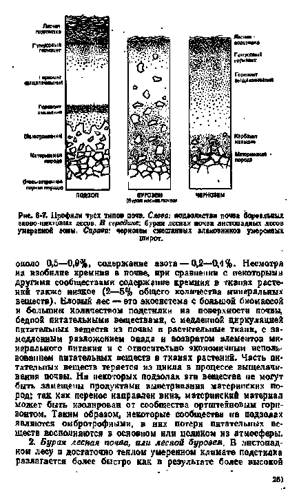 păduri de foioase